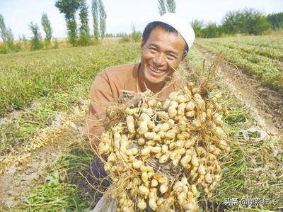 網絡推廣的方法就算云速捷火爆,在自己家鄉種植的農產品,有什么好辦法推廣出去?