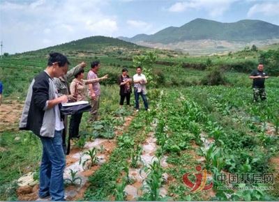 漣源市:“互聯網+可視農業”已成為扶貧攻堅的有力抓手